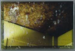 Wrath Of The Weak : Just A Momentary Diversion On The Road To The Grave Wrath Of The Weak : Just A Momentary Diversion On The Road To The Grave